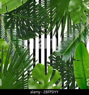 Tropical leaves on pattern background Stock Photo
