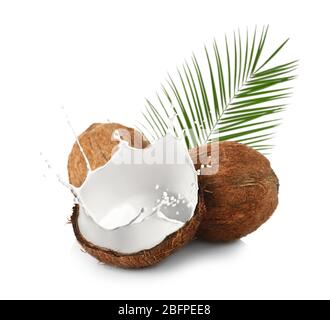 Coconuts and milk splash on white background Stock Photo