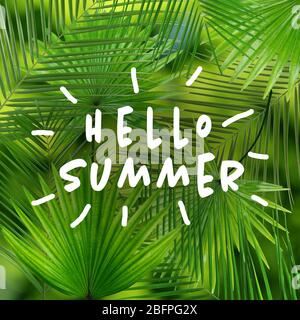 Text HELLO SUMMER and tropical leaves on background Stock Photo