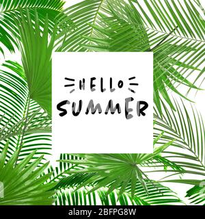 Text HELLO SUMMER and tropical leaves on white background Stock Photo