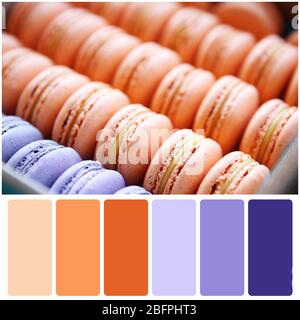 Apricot color matching palette. Tasty macarons, closeup Stock Photo