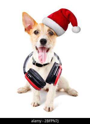Cute dog in Santa hat and headphones on white background. Christmas and New Year 2018 music Stock Photo