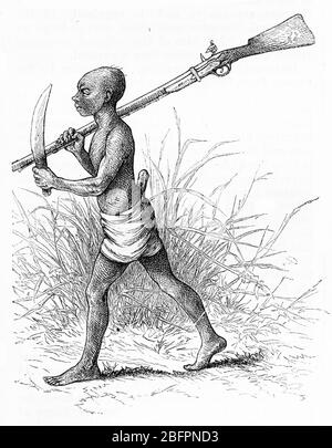 Engraving of a Ngombe warrior in AFrica, armed with a machete and a musket Stock Photo