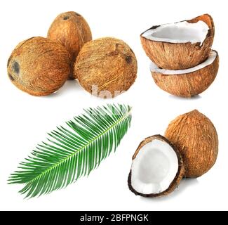 Set of coconut pieces and nuts on white background Stock Photo