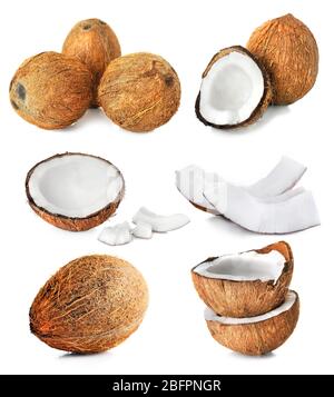 Set of coconut pieces and nuts on white background Stock Photo