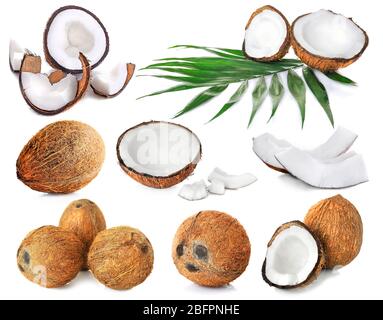 Set of coconut pieces and nuts on white background Stock Photo