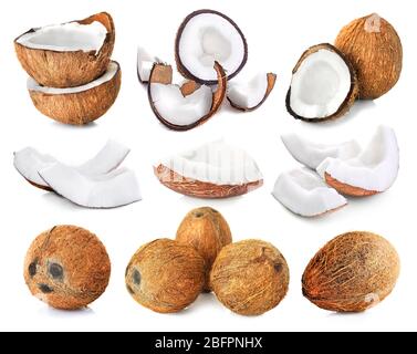 Set of coconut pieces and nuts on white background Stock Photo