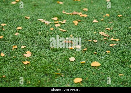 Artificial grass, sports field cover with marking. Artificial turf used in different sports: football, soccer, rugby, tennis, baseball, american footb Stock Photo