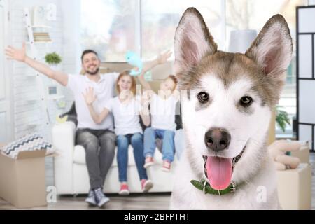 Puppy and happy family on background Stock Photo