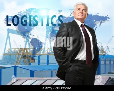 Mature manager and dock cranes on background. Wholesale and logistic concept Stock Photo