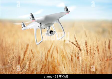 Quadcopter with camera flying over field. Smart agriculture concept Stock Photo