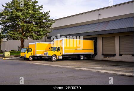 Two yellow different small rigs semi trucks with box trailers for fast local deliveries standing in warehouse docks and loading cargo for the next tim