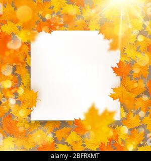 Autumn maple leaves template with white paper card. EPS 10 Stock Vector