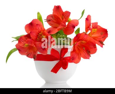 alstroemeria red flowers in vase isolated on white Stock Photo