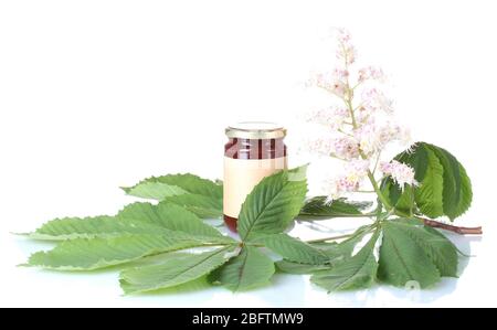 Jar of honey and chestnut branches isolated on white Stock Photo