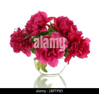 beautiful pink peonies in glass vase isolated on white Stock Photo