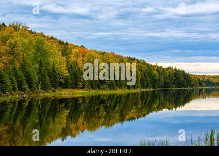 Autumn forest reflected in lake near Lac-Labelle, Laurentians, Quebec, Canada Stock Photo