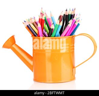 Color pencils in watering can isolated on white Stock Photo