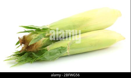fresh corn isolated on white Stock Photo