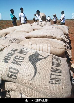 1993 - Men from the village of Maleel Somalia stack bags of wheat delivered by Marine Heavy Helicopter Squadron 363 (HMH-363) during the multinational relief effort Operation Restore Hope.