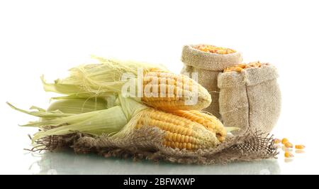 fresh corn and bags with dry corn, isolated on white Stock Photo