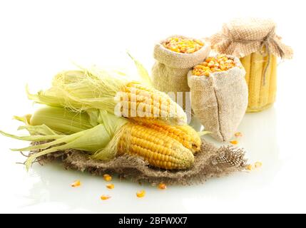 fresh corn and bags with dry corn, isolated on white Stock Photo