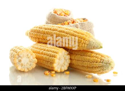 fresh corn and bags with dry corn, isolated on white Stock Photo