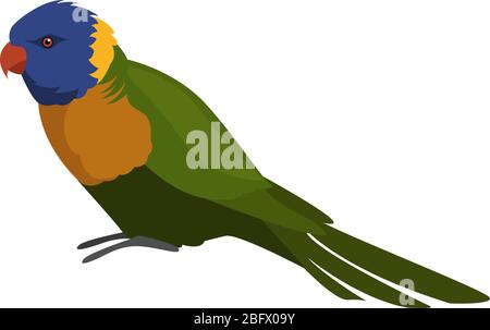 Coconut lorikeet, illustration, vector on white background Stock Vector