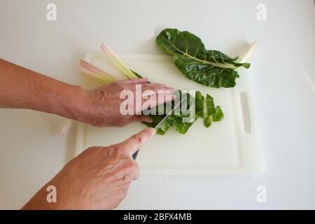 Cropped photo of hands cutting green vegetables on plastic cutting board Stock Photo