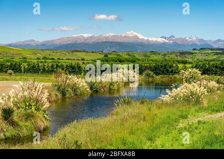 Picturesque location in South Island, New Zealand Stock Photo
