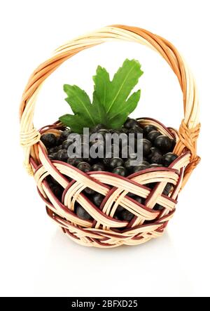 chokeberry with green leaves in wicker basket isolated on white Stock Photo