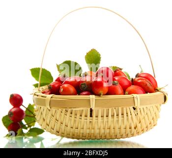 ripe hip roses with leaves in basket, isolated on white Stock Photo