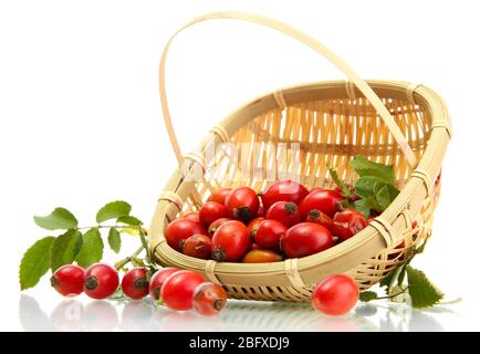 ripe hip roses with leaves in basket, isolated on white Stock Photo