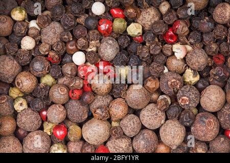 spice dried peas peas white, black, red, mix, pepper mills. Close up background. Stock Photo