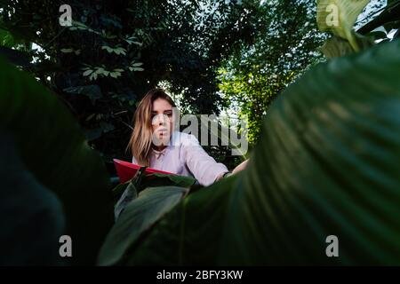 Young agricultural engineer examines leaves in greenhouse Stock Photo