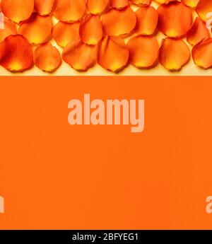 Orange rose petals on yellow and orange background, top view. Free copy space Stock Photo