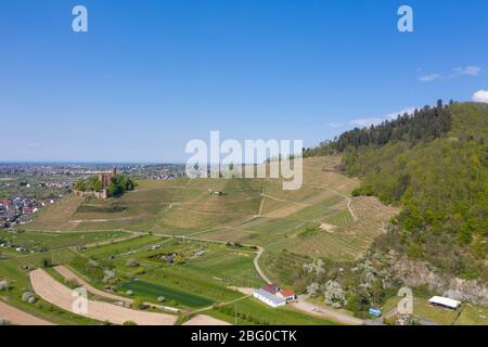 Aerial drone view, Ortenberg Castle with landscape of the Kinzig valley, Ortenberg, Black Forest, Baden-Wurttemberg, Germany, Europe