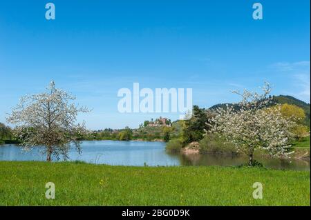 Lake Moeschlesee in front of Ortenberg Castle, Ortenberg, Black Forest, Baden-Wurttemberg, Germany, Europe Stock Photo