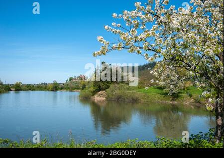 Lake Moeschlesee in front of Ortenberg Castle, Ortenberg, Black Forest, Baden-Wurttemberg, Germany, Europe Stock Photo