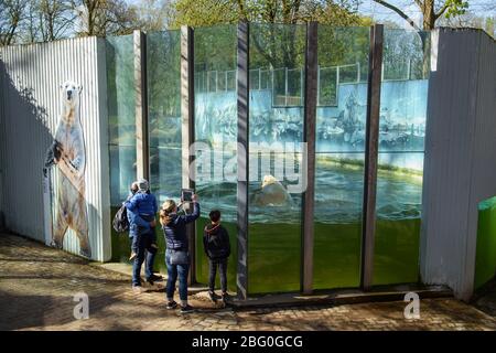 20 April 2020, Schleswig-Holstein, Neumünster: A family stands in front of the polar bear enclosure shortly after the reopening of the zoo in Neumünster. The zoo was temporarily closed to visitors due to the Corona pandemic. Photo: Gregor Fischer/dpa Stock Photo