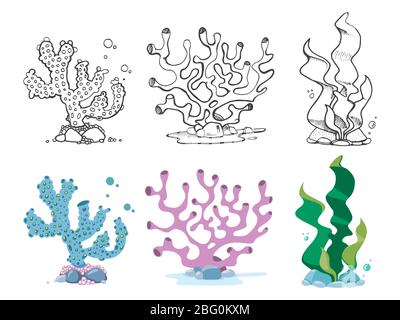 Vintage and colorful corals, seaweeds and underwater wildlife plants set. Vector illustration Stock Vector