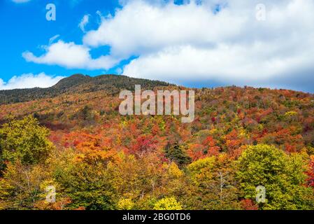Mountain covered in a deciduous forest at the peak of fall foliage on a clear day Stock Photo