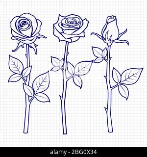 Premium Vector  Sketch of notebook vector illustration with hand drawn  leaf of notebook clip art