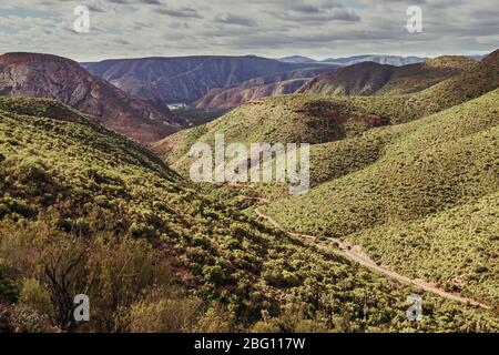 Aerial view of a gravel road winding through the mountain range in Baviaanskloof. Eastern Cape Province . South Africa Stock Photo