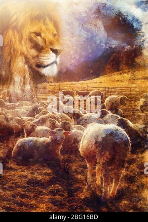 lambs and lion on mountain meadow, Computer painting effect. Stock Photo