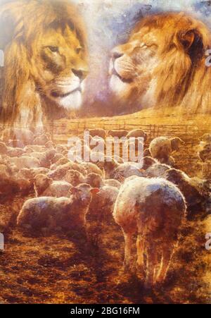 lambs and lion on mountain meadow, Computer painting effect. Stock Photo