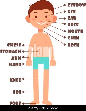 Cartoon boy. Kids body parts with english vocabulary vector set. Body kids chin and foot, hand and head, nose and leg illustration Stock Vector