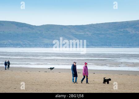 Two couples observing social distancing walk their dogs on the beach at Weston-super-Mare during the Coronavirus lockdown, UK Stock Photo