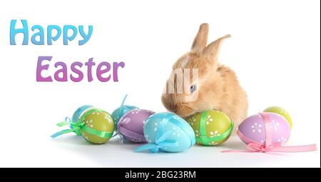 Fluffy foxy rabbit with Easter eggs isolated on white Stock Photo