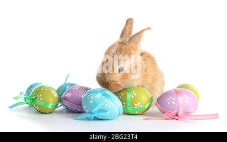 Fluffy foxy rabbit with Easter eggs isolated on white Stock Photo